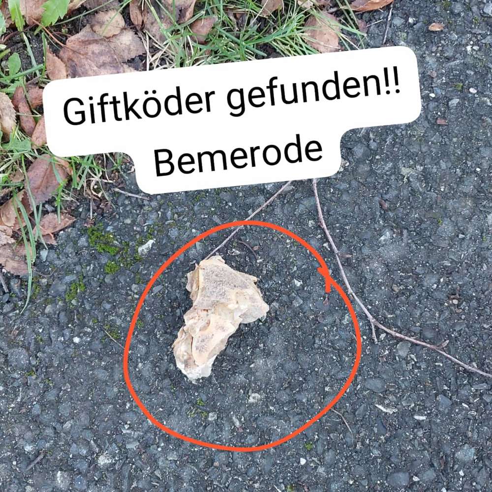 Giftköder-(Gift)köder in Bemerode-Profilbild