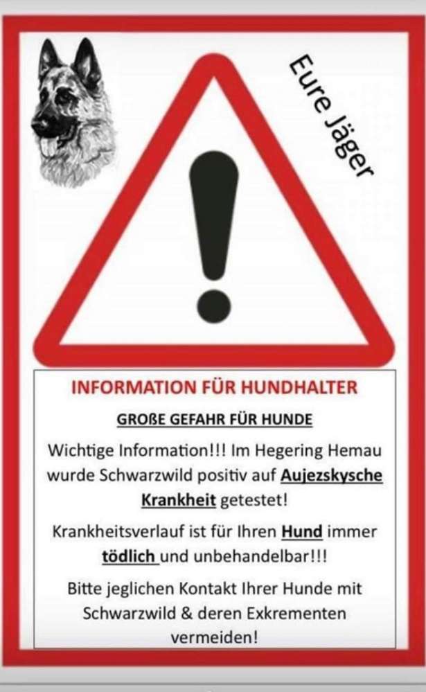 Giftköder-Pseudotollwut-Profilbild