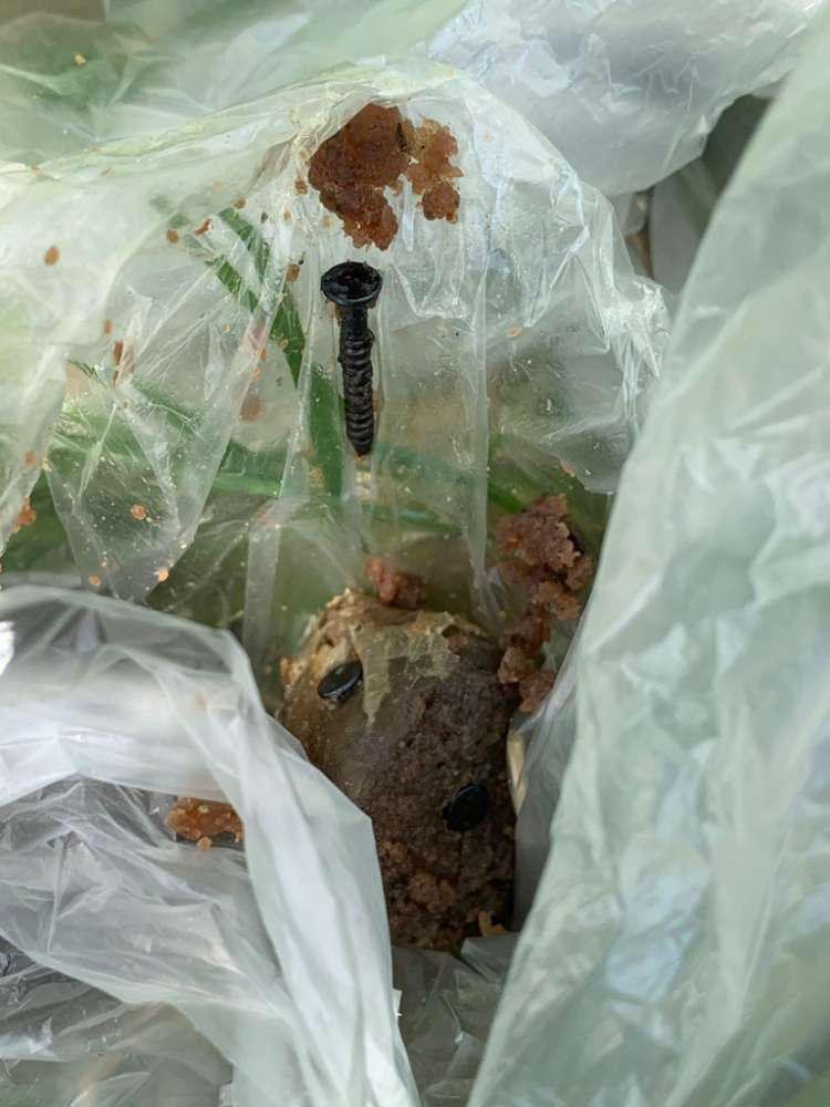 Giftköder-Köder mit Metallschrauben-Profilbild