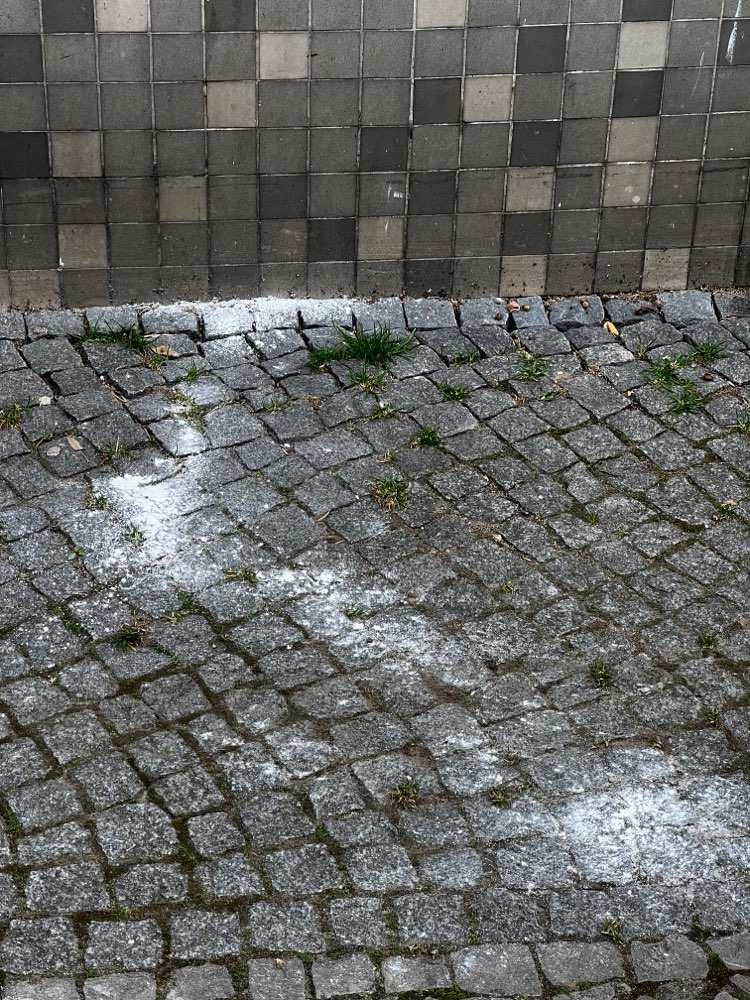 Giftköder-WEISSES PULVER - Charlottenburg-Profilbild