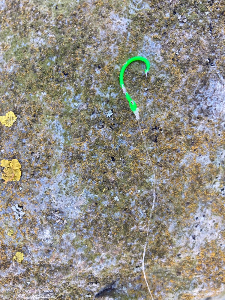 Giftköder-Angelhaken und Angelköder-Profilbild