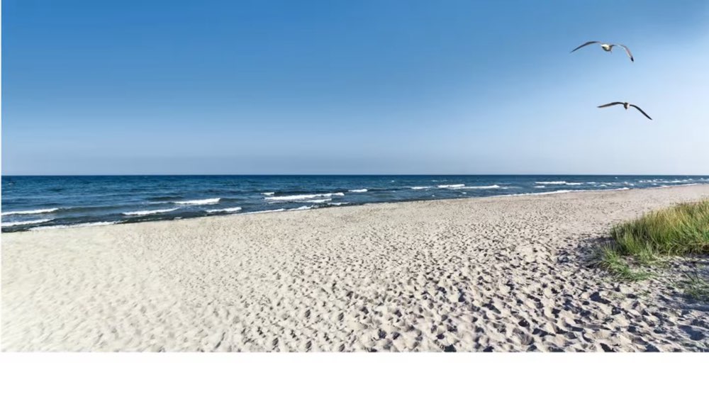 Hundetreffen-Kurzurlaub Ostsee-Profilbild