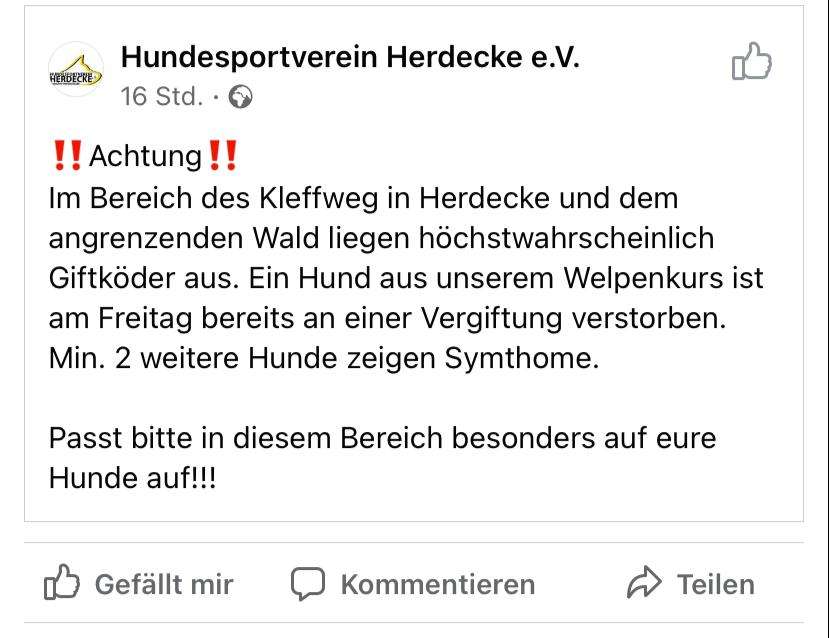 Giftköder-Giftköder-Profilbild