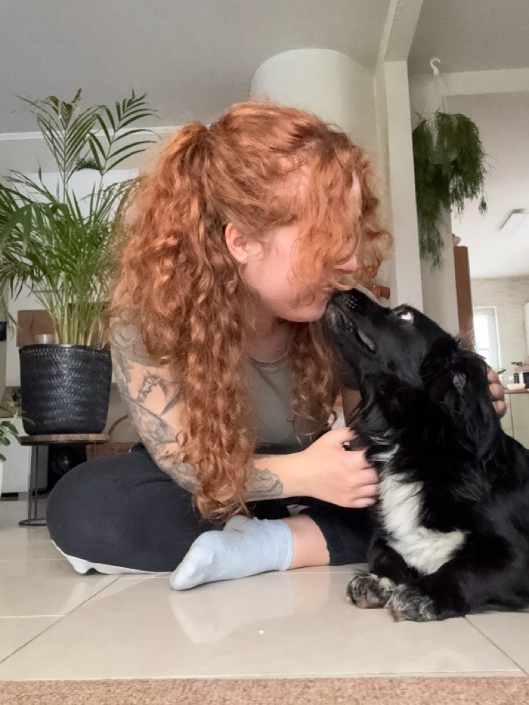 Hundetreffen-Spielrunde-Profilbild