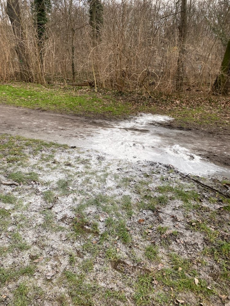 Giftköder-Große Mengen weißes Puder-Profilbild