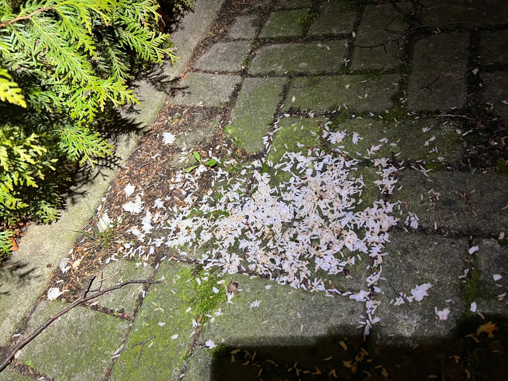 Giftköder-Verdächtige Essensreste-Profilbild