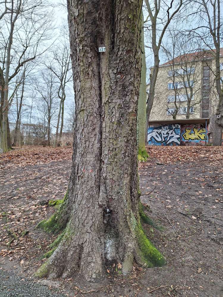 Giftköder-Weisses Pulver Naehe Kinderspielplatz-Profilbild