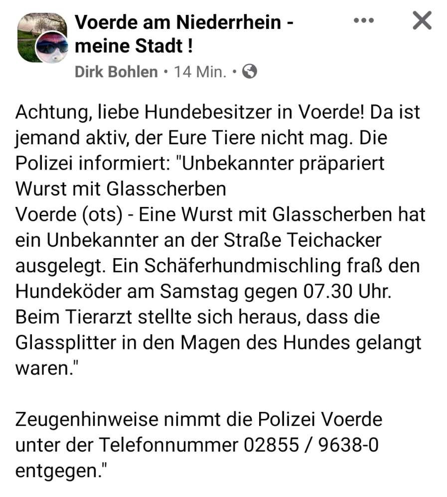 Giftköder-Wurst mit Glasscherben-Profilbild