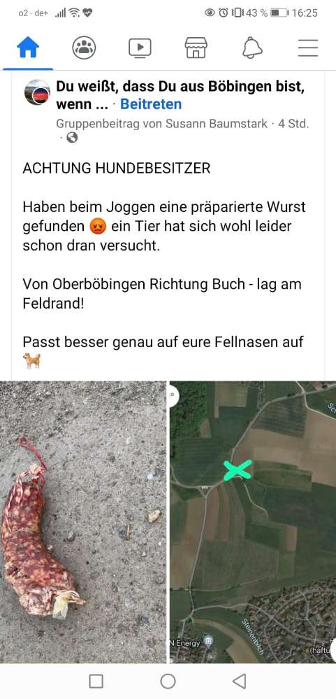 Giftköder-Fleischstücke auf der Wiese-Profilbild