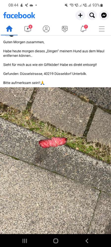 Giftköder-Giftköder-Profilbild