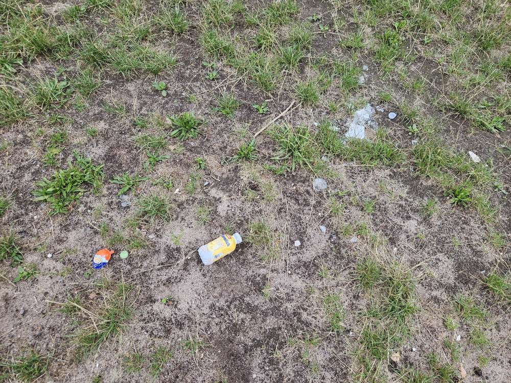 Giftköder-Glasscherben-Profilbild