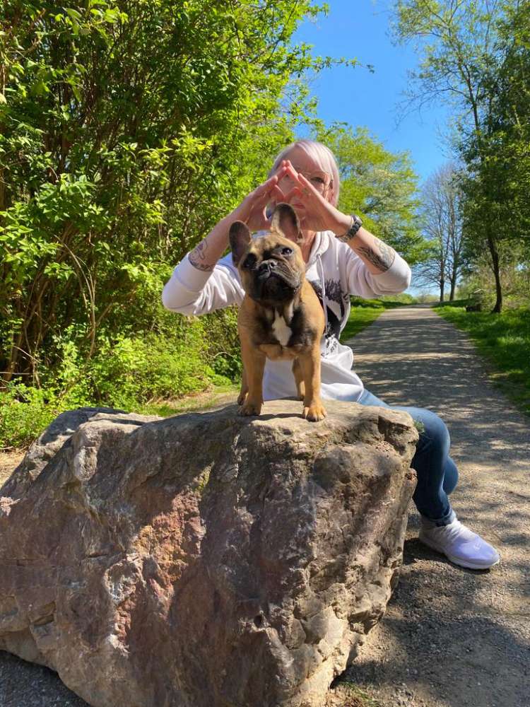 Hundetreffen-Welpentreffen der kleinen -:)-Profilbild