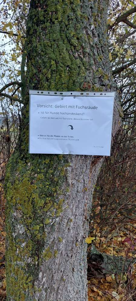 Giftköder-Fuchsräude-Profilbild