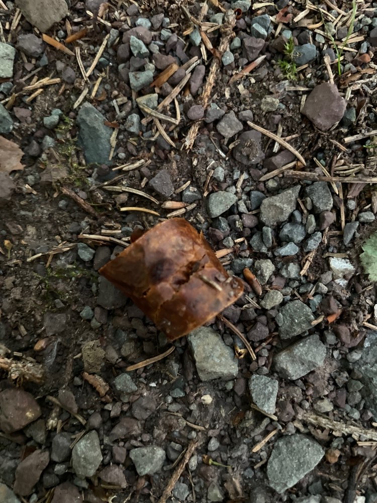 Giftköder-Möglicher Giftköder-Profilbild