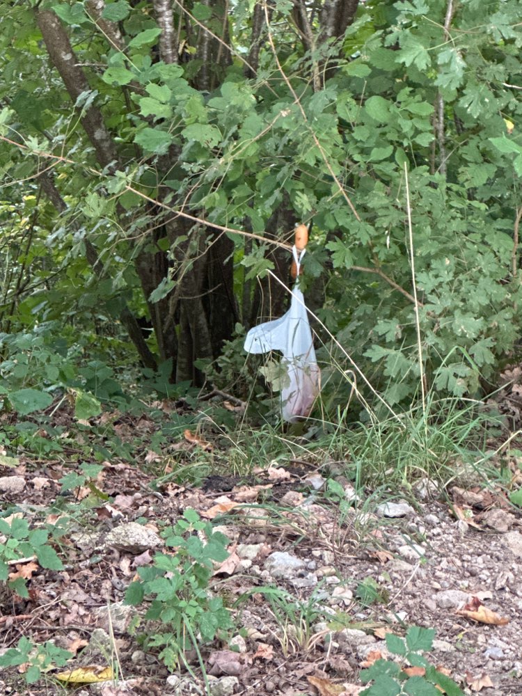 Giftköder-Möglicher Giftköder-Profilbild