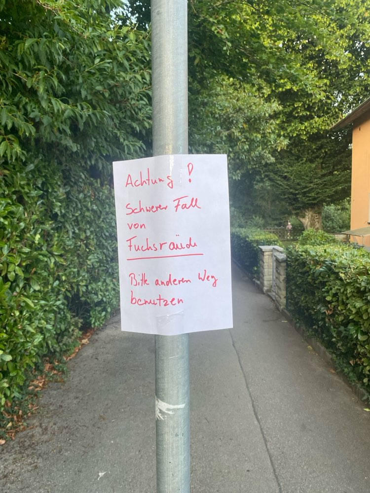 Giftköder-Fuchsräude starker Befall-Profilbild
