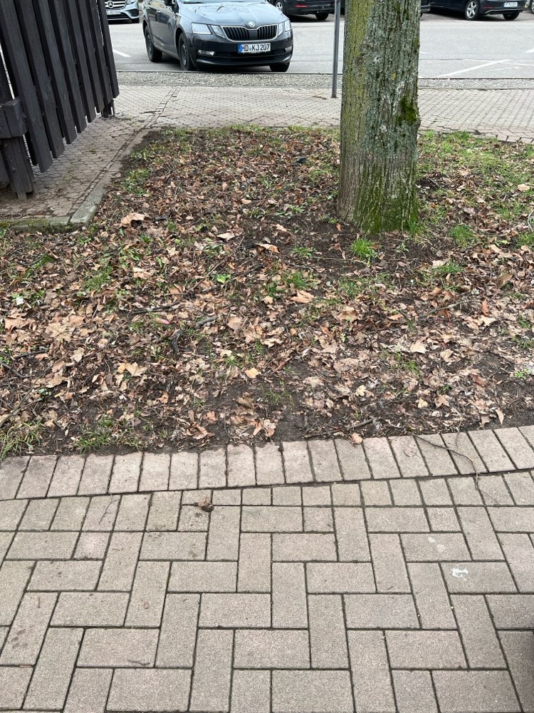 Giftköder-Rasierklinge (in Erde gesteckt)-Profilbild