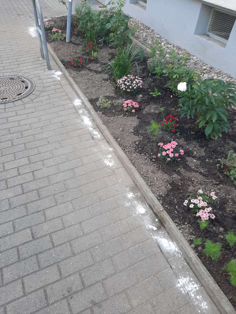 Giftköder-Weißes Pulver am Gehweg verteilt-Profilbild