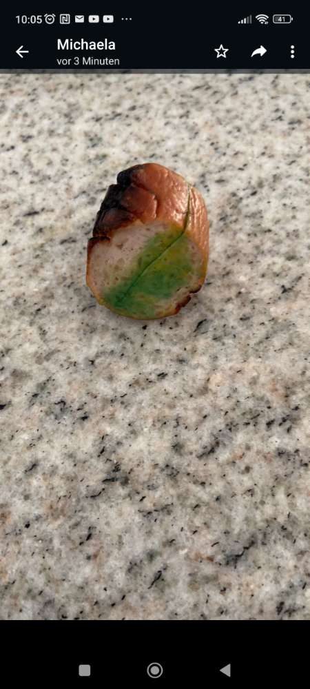 Giftköder-Giftköder-Profilbild