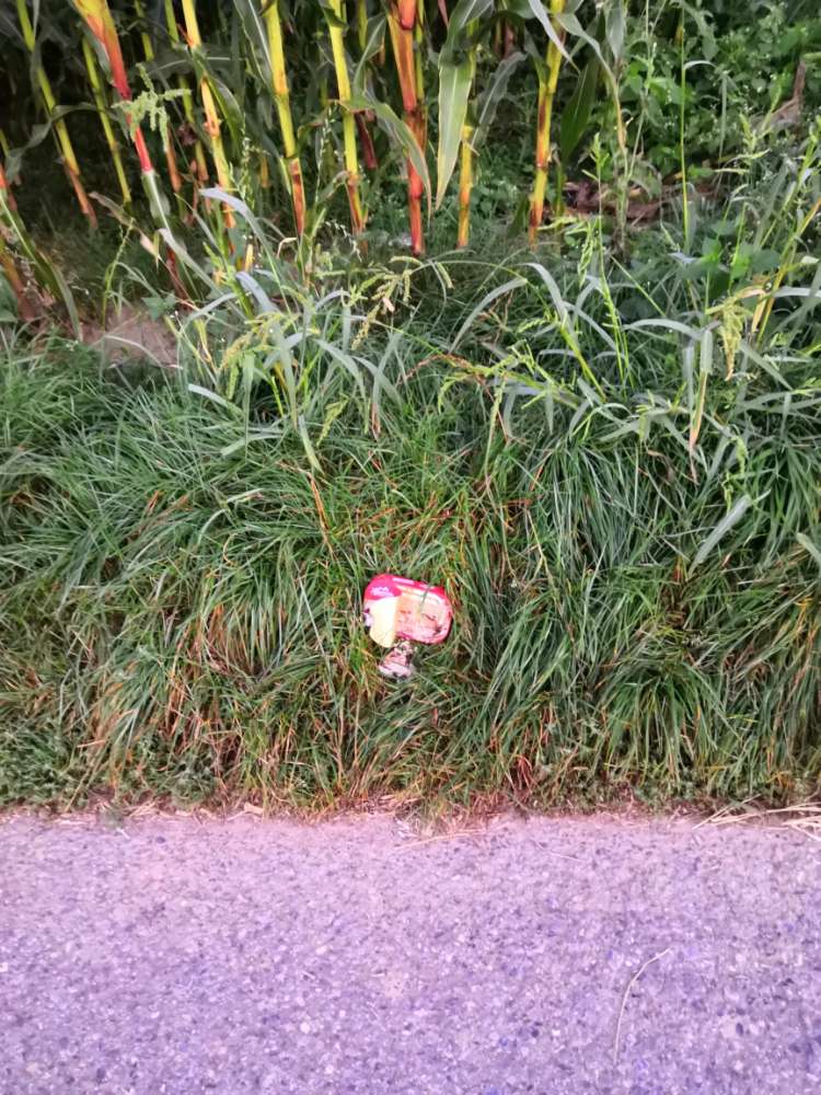 Giftköder-Fischstücke-Profilbild