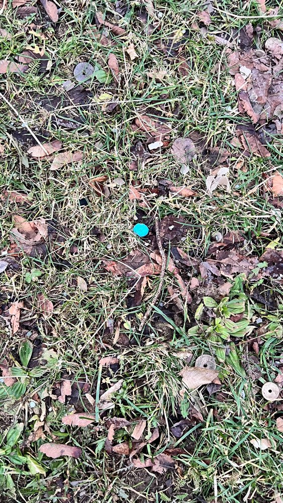 Giftköder-Mögl.Giftköder: Hochstiftsweg Grünanlage-Profilbild