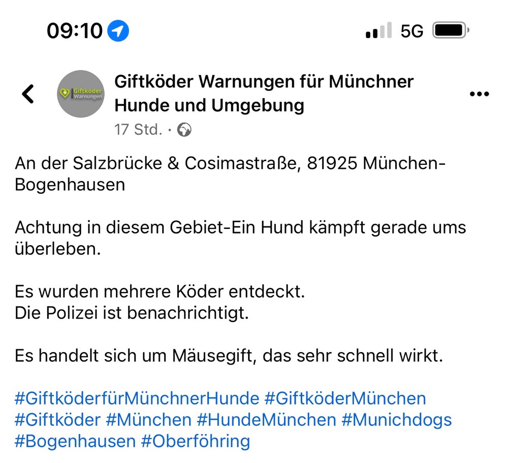 Giftköder-Giftköder mit Mäusegift-Profilbild