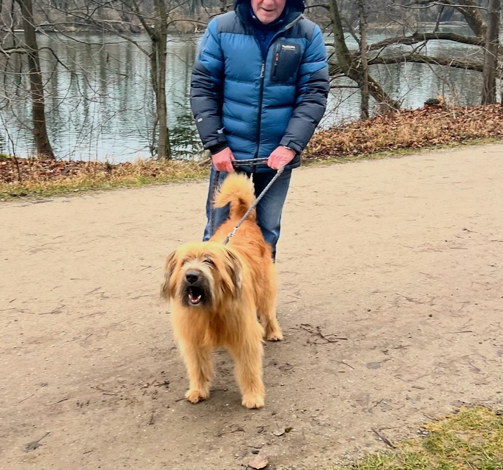 Giftköder-Aggressive Hunde @ Grüntal-Profilbild