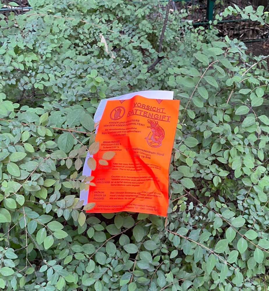 Giftköder-Rattengift im Kellinghusenpark-Profilbild