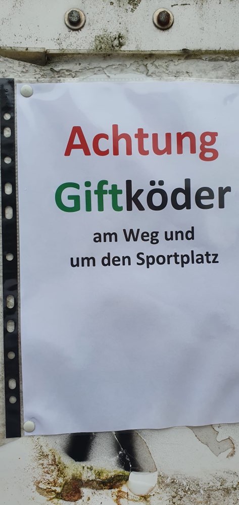 Giftköder-Giftköder-Profilbild