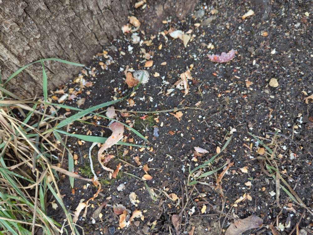 Giftköder-Mögliche Gefahr Nah & Gut Edeka-Profilbild