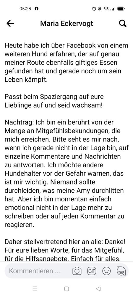 Giftköder-Ci Köfte, Bulgur, Bohnen, Brot-Profilbild