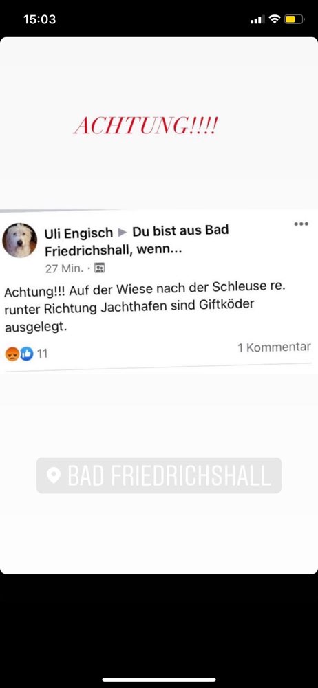 Giftköder-Giftköder!-Profilbild