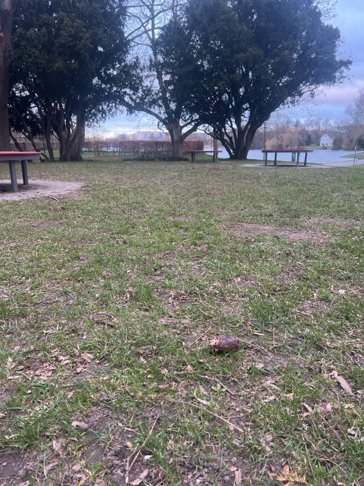 Giftköder-Giftköder-Profilbild