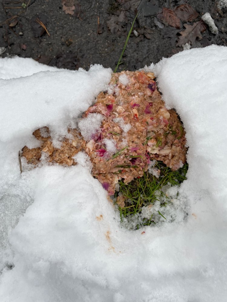 Giftköder-Evtl. Giftköder-Profilbild