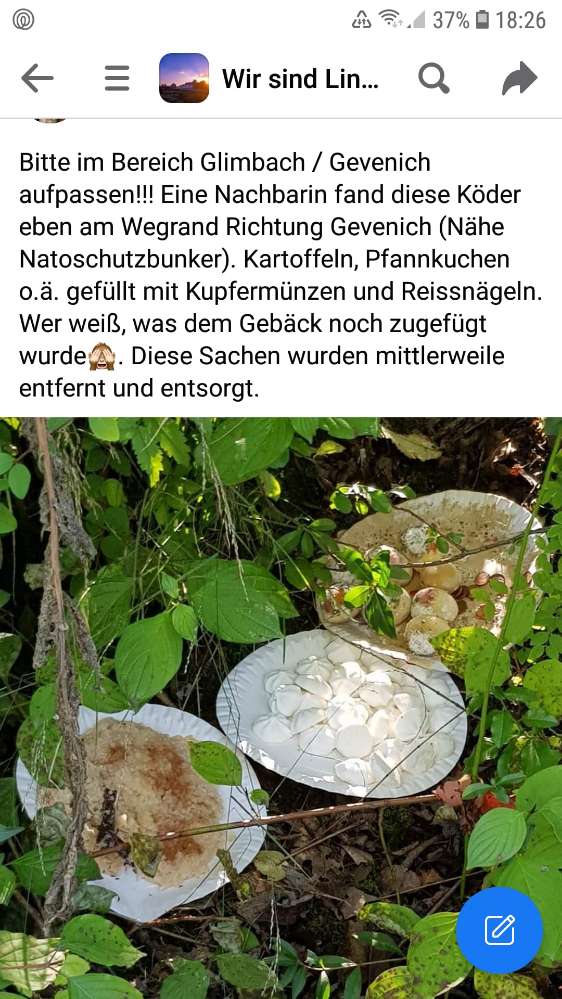 Giftköder-Giftköder-Profilbild