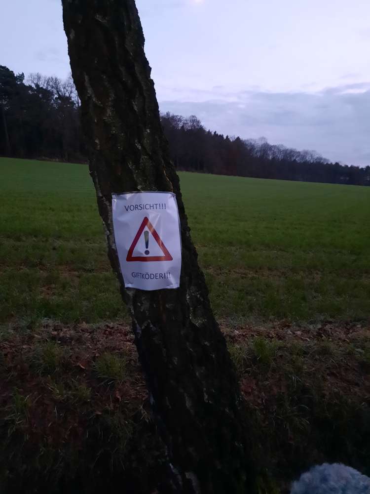 Giftköder-Giftköder-Profilbild
