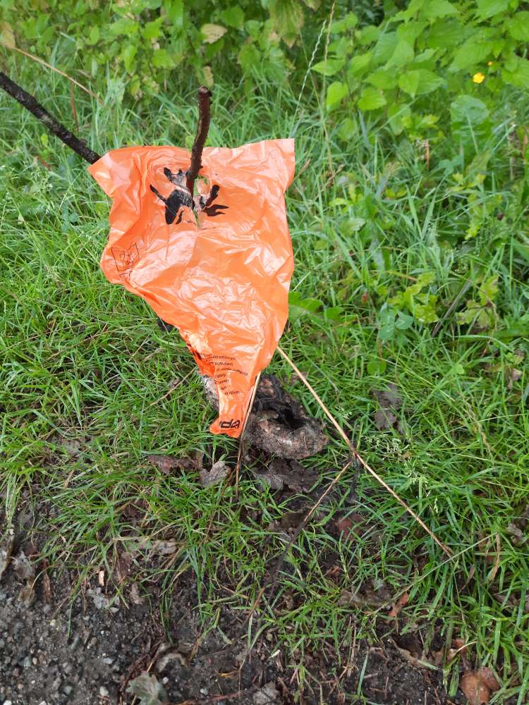 Giftköder-EPS am Boden-Profilbild