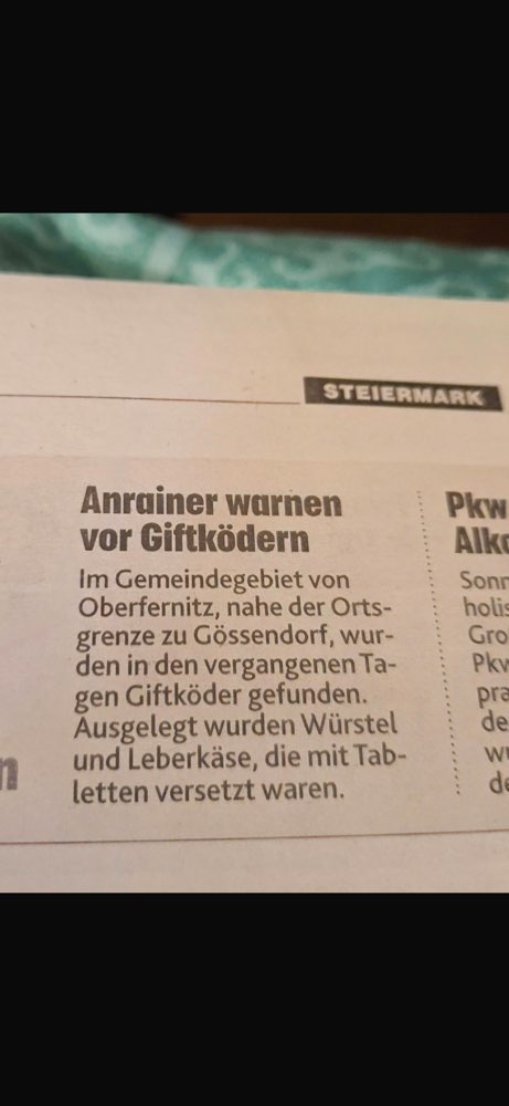 Giftköder-Giftköder-Profilbild