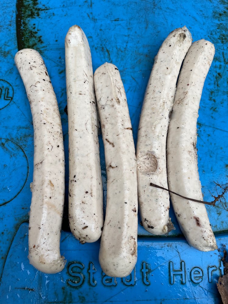 Giftköder-Mögliche Giftköder-Profilbild