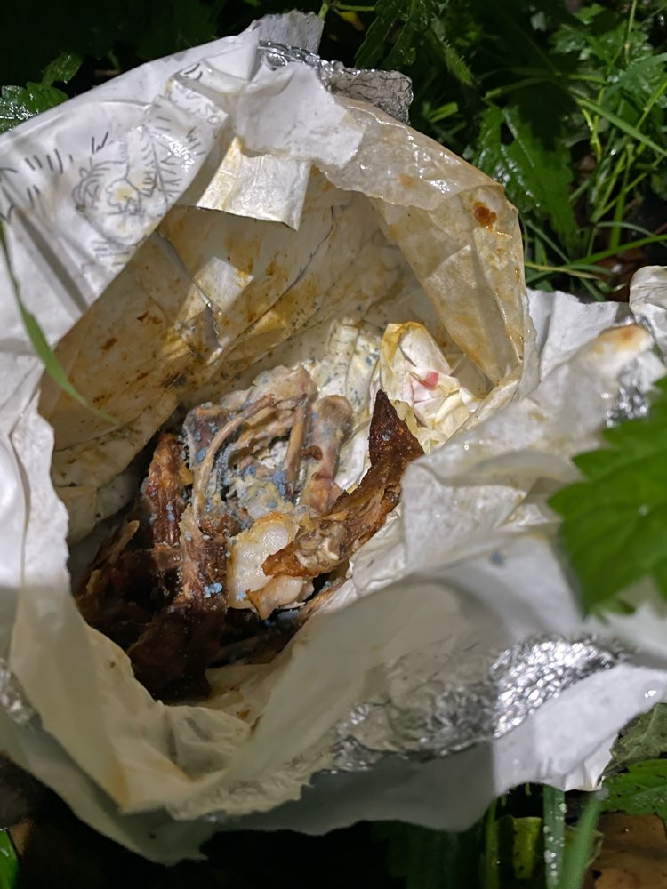 Giftköder-Rattengift mit Knochen und Fleisch-Profilbild