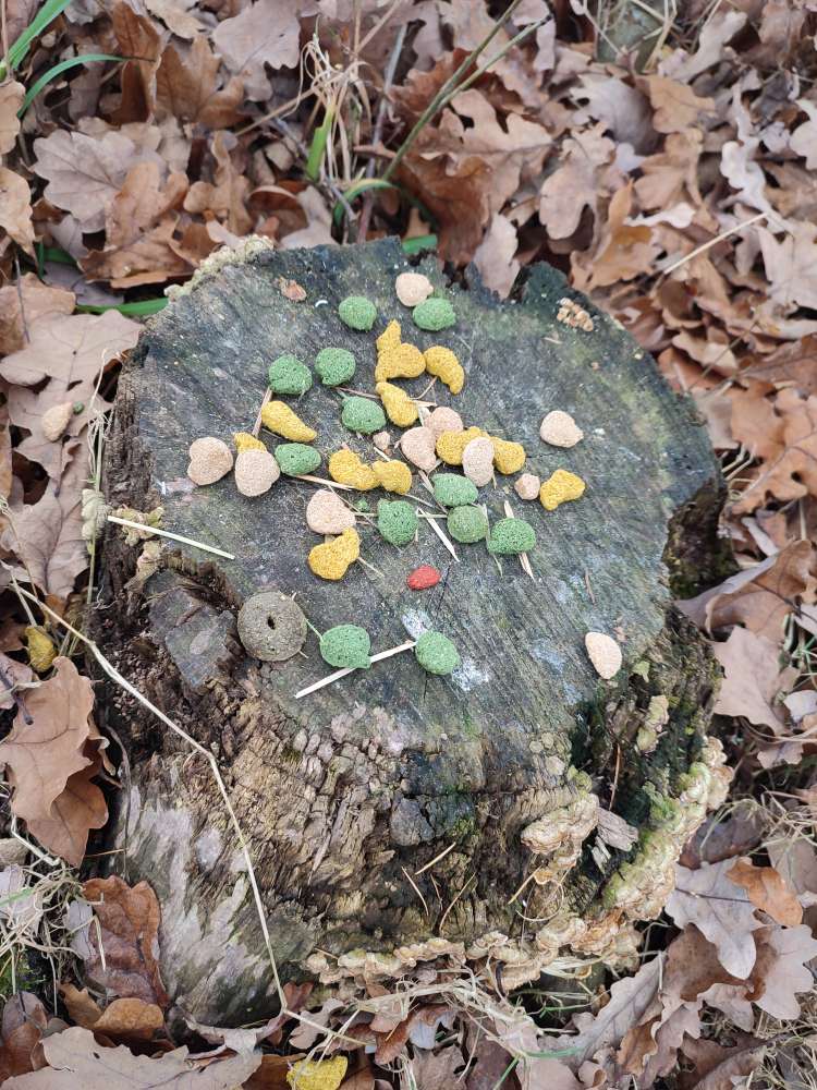 Giftköder-Ausgelegtes Futter-Profilbild