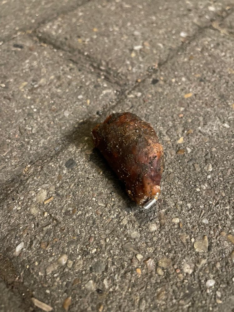 Giftköder-Fleischköder mit Metallspießen-Profilbild