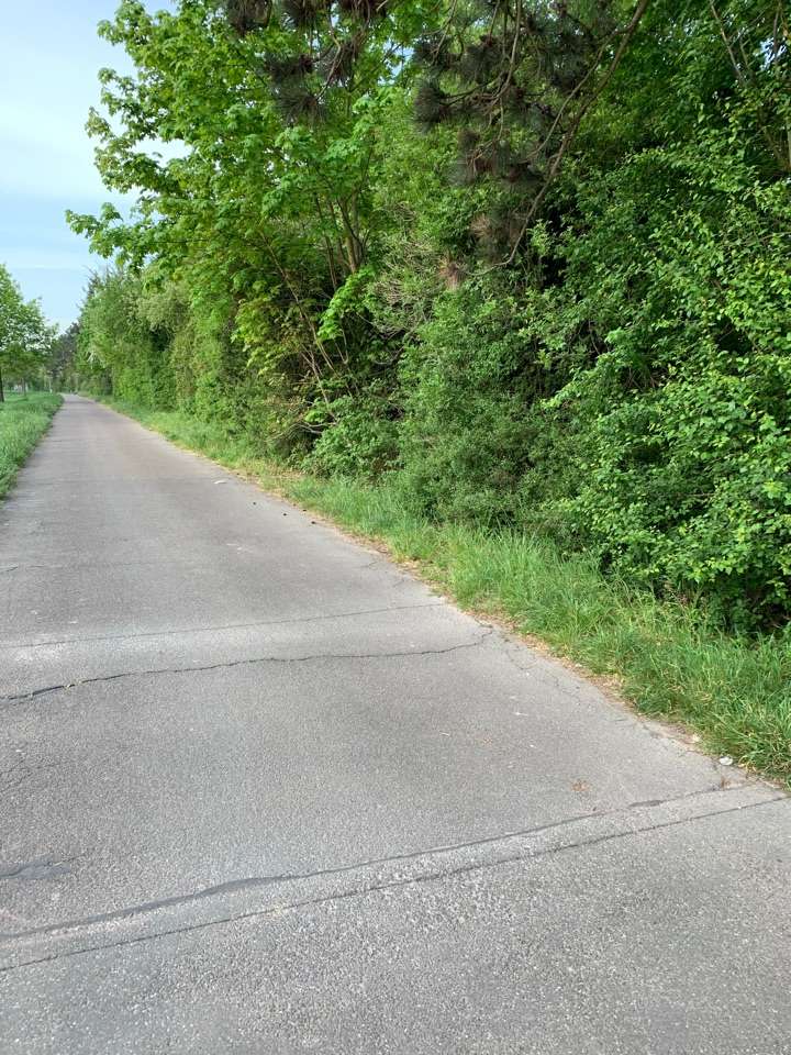 Giftköder-ZERSTÜCKELTER Schinken (Giftköder)?-Profilbild