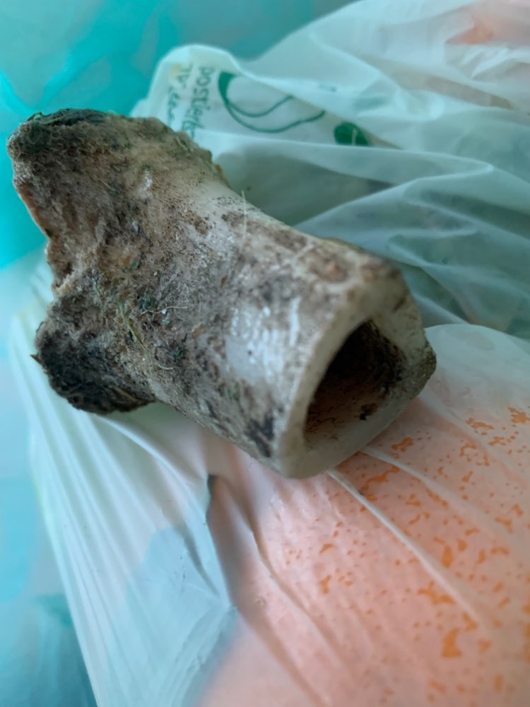 Giftköder-Knochen und Essensreste-Profilbild