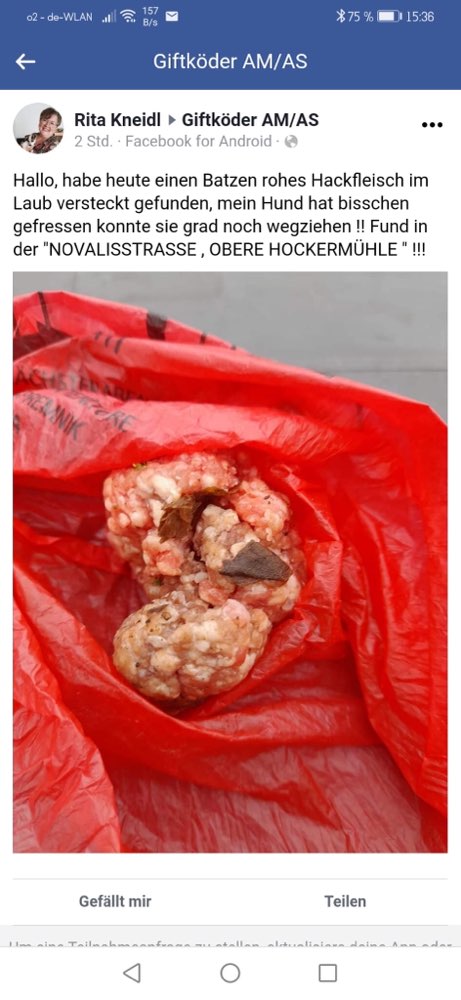 Giftköder-Giftköderfund mit Hackfleisch-Profilbild