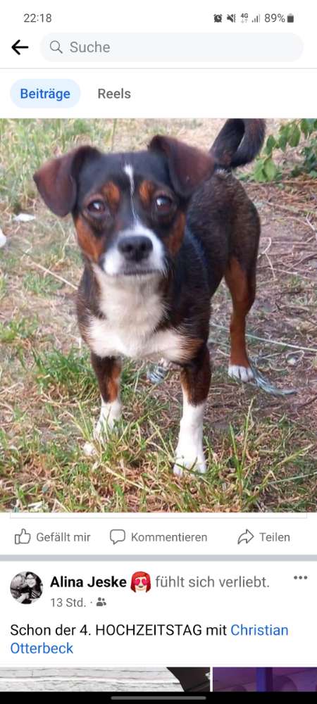 Suchmeldung-Nala-Profilbild