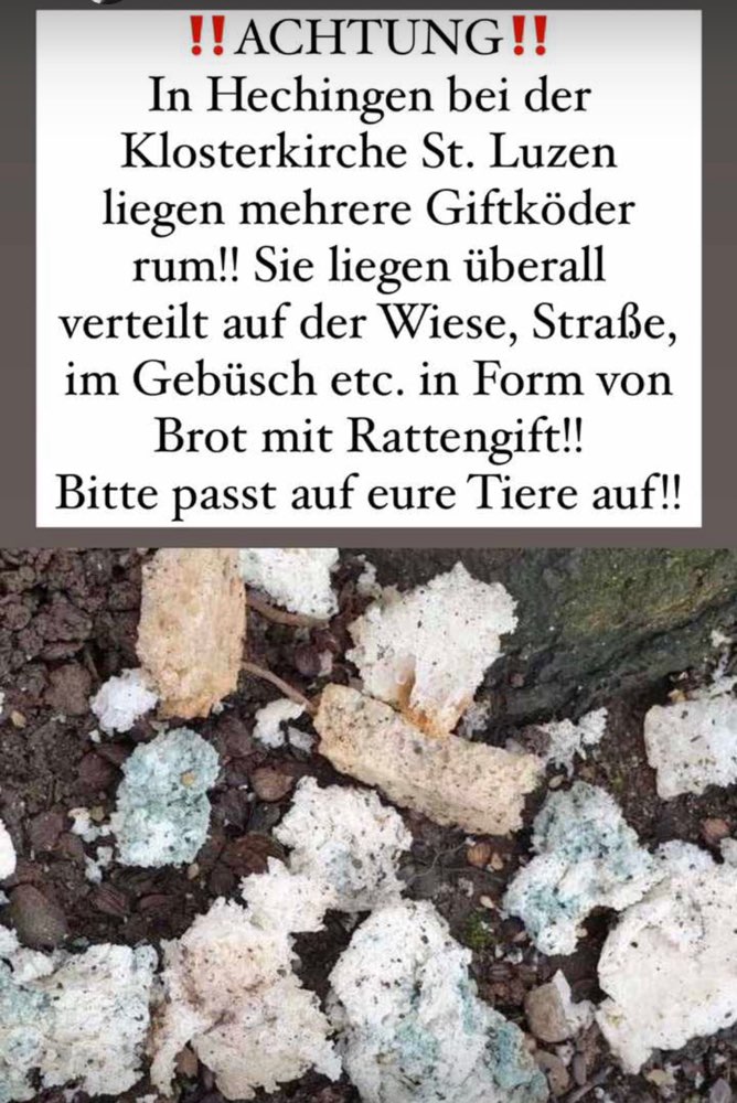 Giftköder-Brot mit Giftköder-Profilbild