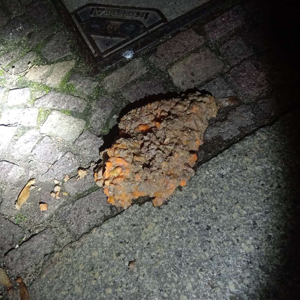 Giftköder-Vermutlich Giftköder-Profilbild