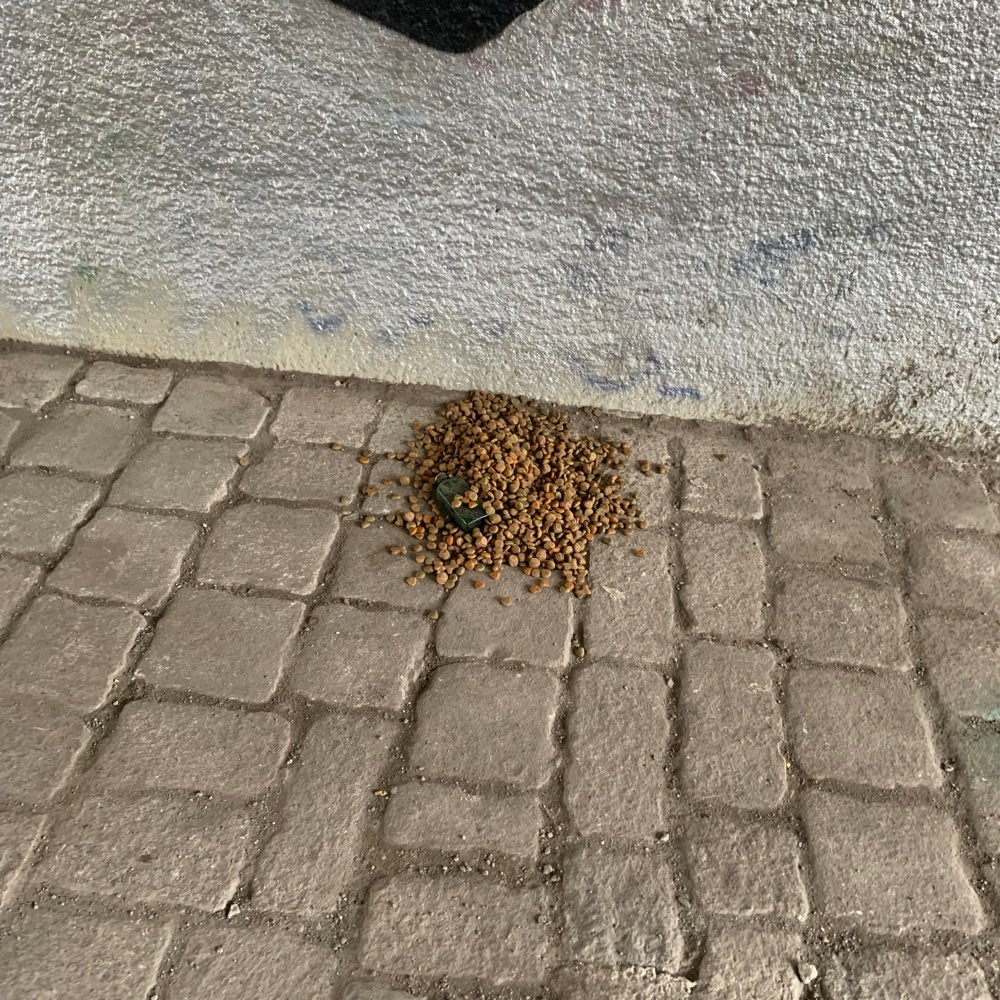 Giftköder-Futter mögliche Gefahr-Profilbild