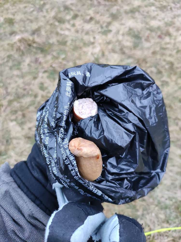 Giftköder-Wurststücke in Wiese-Profilbild